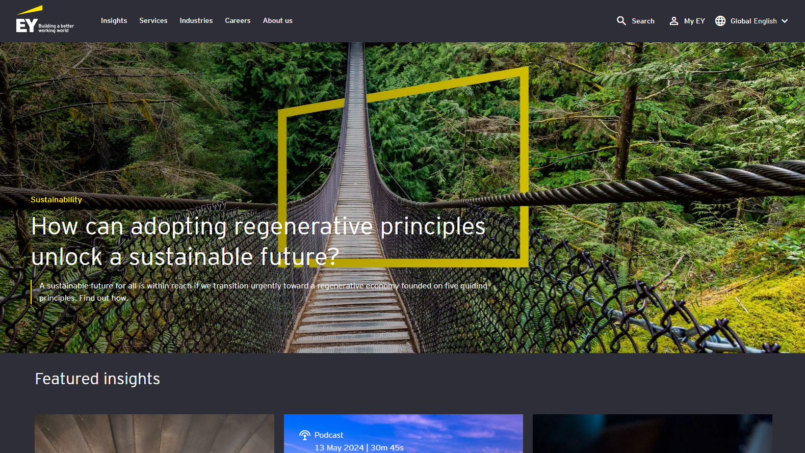 Ernst & Young (EY) Website