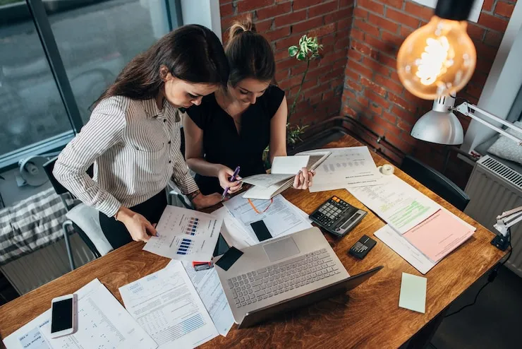 Accountants for Large Business
