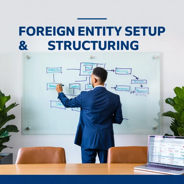 Foreign Entity Setup & Structuring