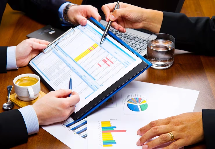 VAT Audit Support