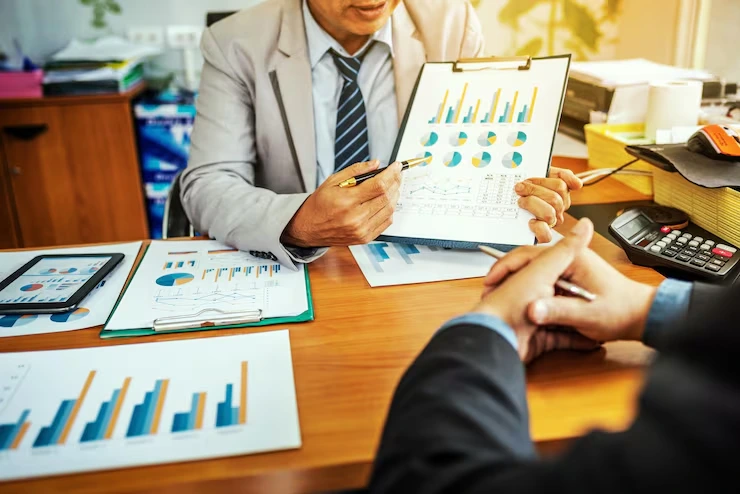 Portfolio Company Accounting Support