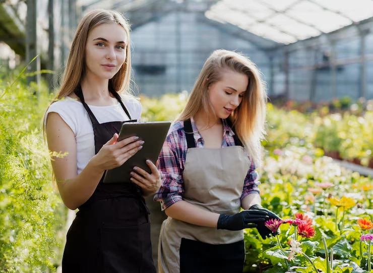 Bookkeeping For Farmers Services