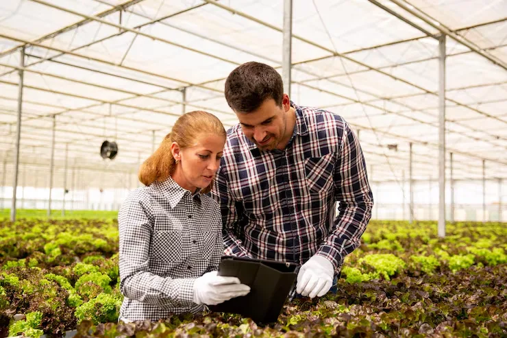 Crop and Livestock Cost Analysis