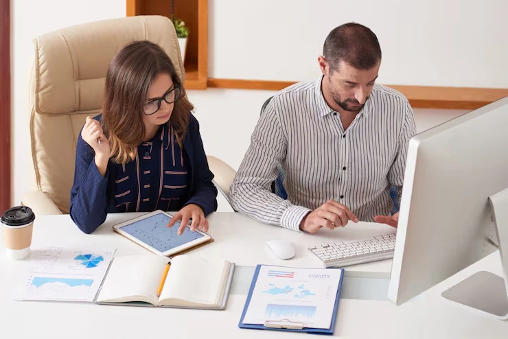 Financial Statement Audits