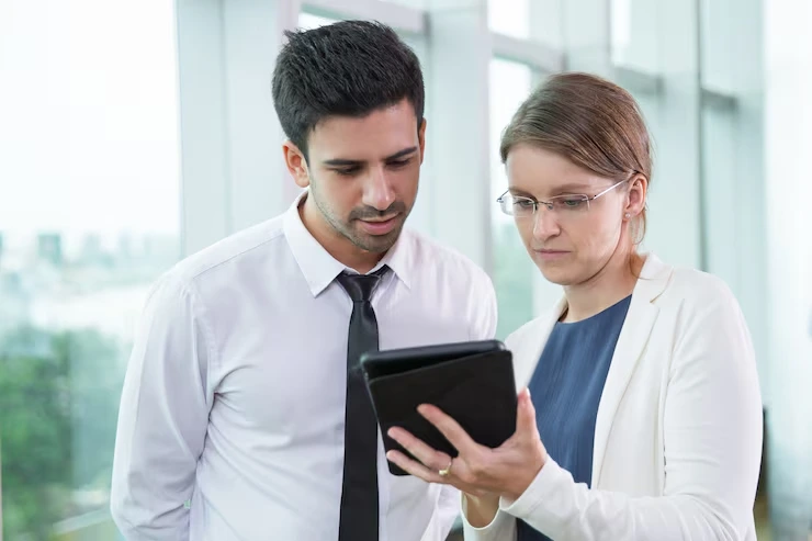 internal control review services