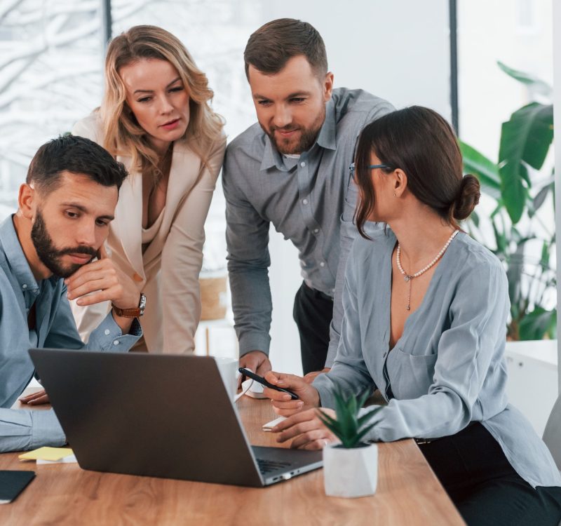 Pearl Lemon Accountants Accountants and Bookkeepers looking at the laptop screen in the office