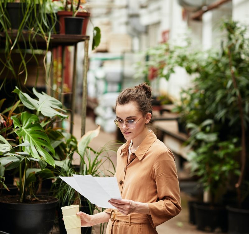 Young female accountant of contemporary orangeries or florist shop, Accountants for Barristers
