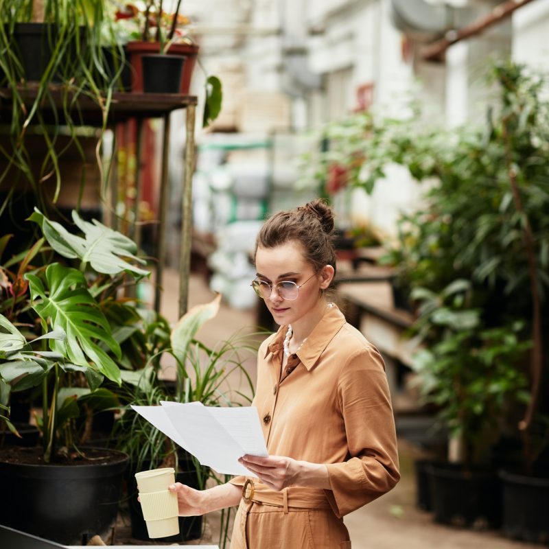 Young female accountant of contemporary orangeries or florist shop, Accountants for Barristers