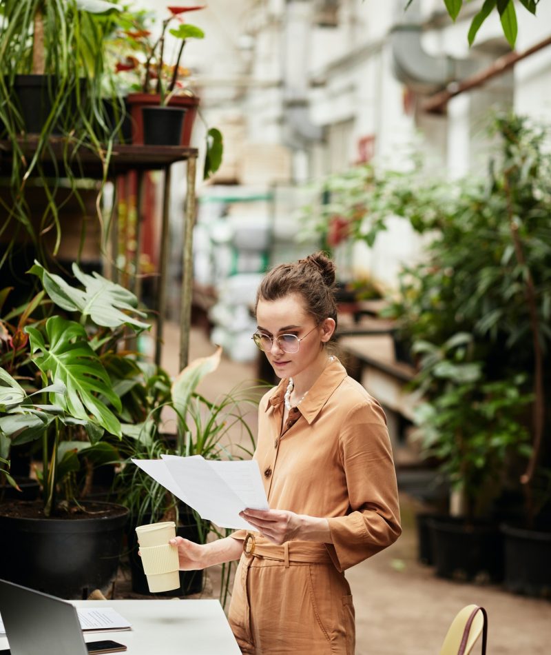 Young female accountant of contemporary orangerie or florist shop Young female accountant of contemporary orangeries or florist shop, Accountants for Barristers